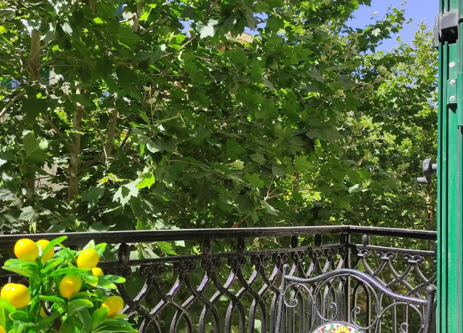 Pk Scarlatti House Apartment Naples Italy